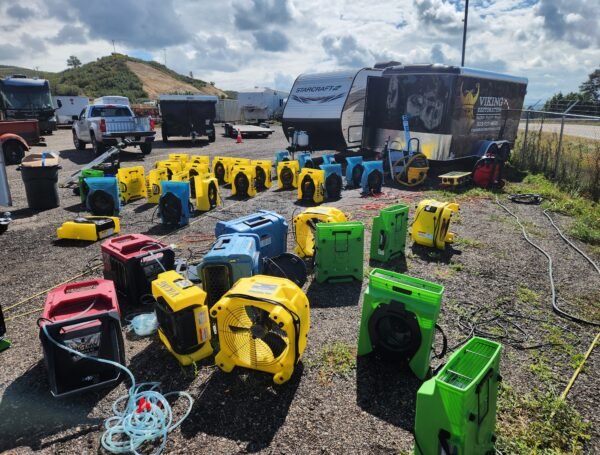 Water Damage and Mold Growth: What Homeowners Should Know