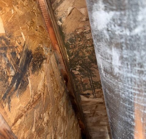 Professional Water Restoration in Lakewood, WA