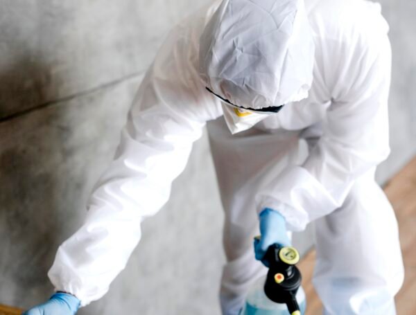 Reliable Mold Restoration Services in Pierce County, WA