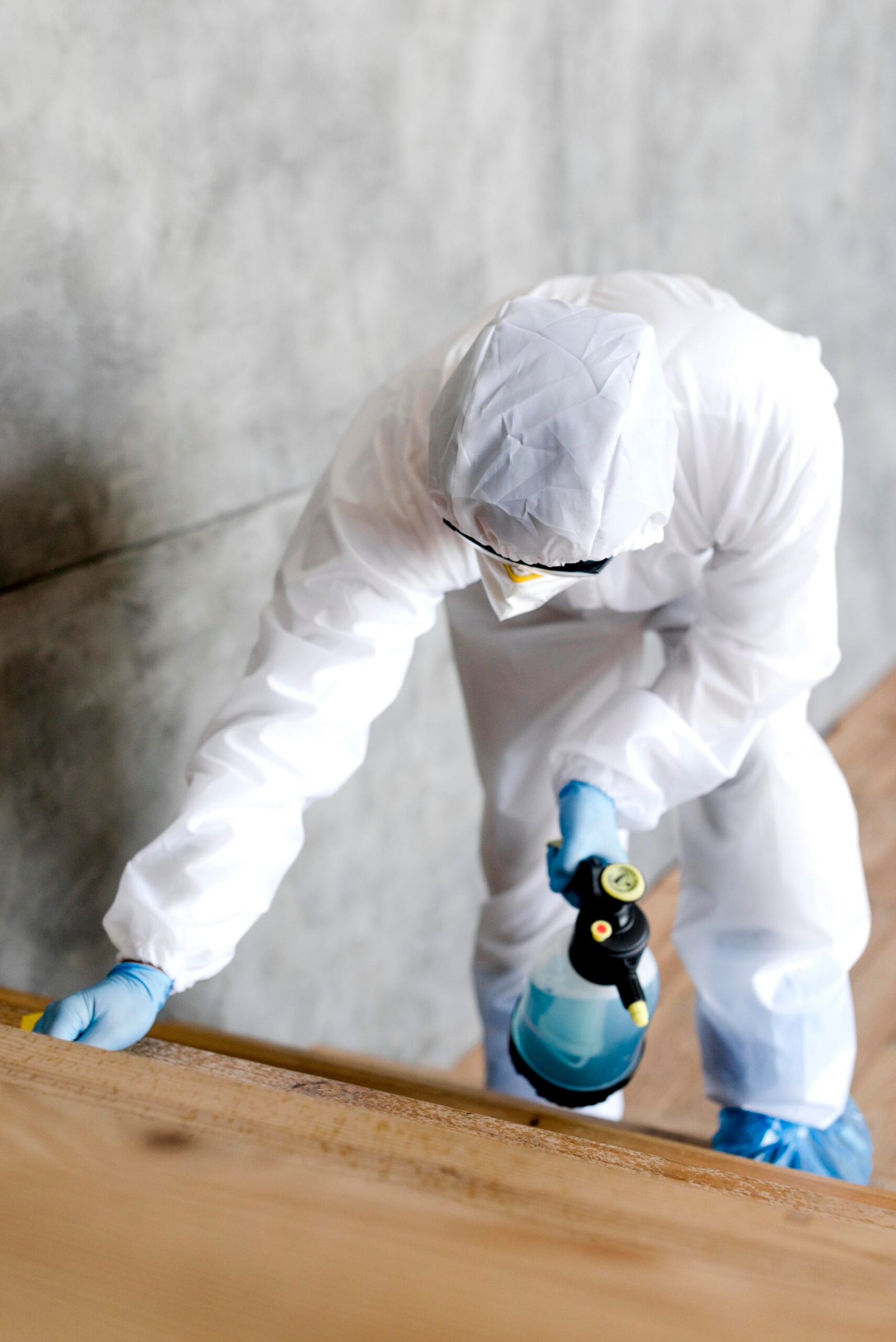 Reliable Mold Restoration Services in Pierce County, WA