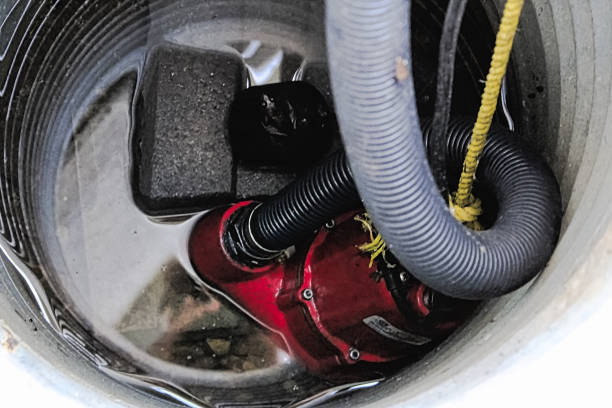 Trusted Basement Water Removal in Olympia, WA 