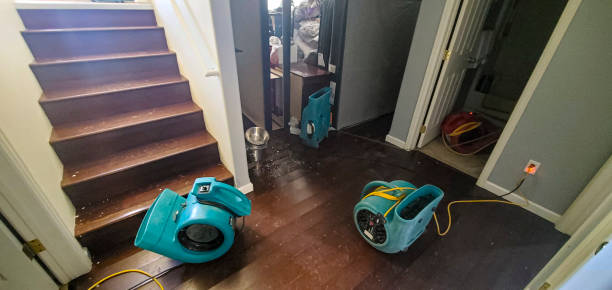 Expert Water Restoration Services in Olympia, WA | Floodtek