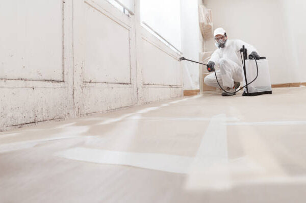 Reliable Mold Remediation Services in Lewis County, WA