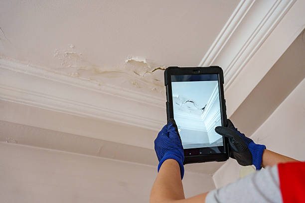 Expert Water Damage Restoration Lewis County WA 
