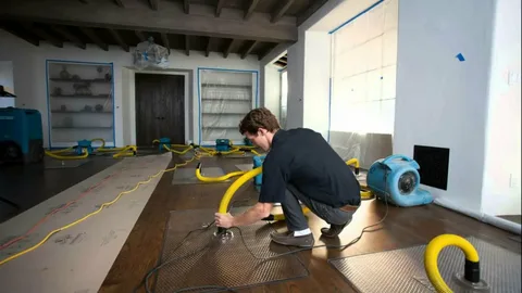 Professional Water Mitigation Services in Tumwater, WA