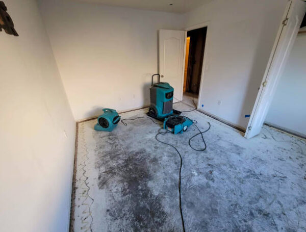 Best Water Restoration Services in Thurston County, WA