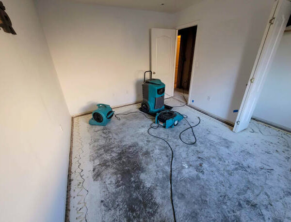 Best Water Restoration Services in Thurston County, WA