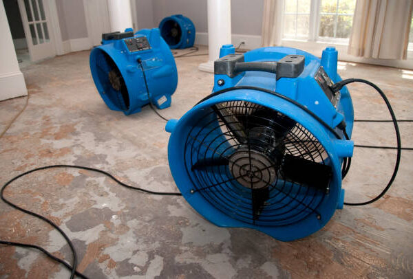 Trusted Water Restoration Services in Thurston County, WA