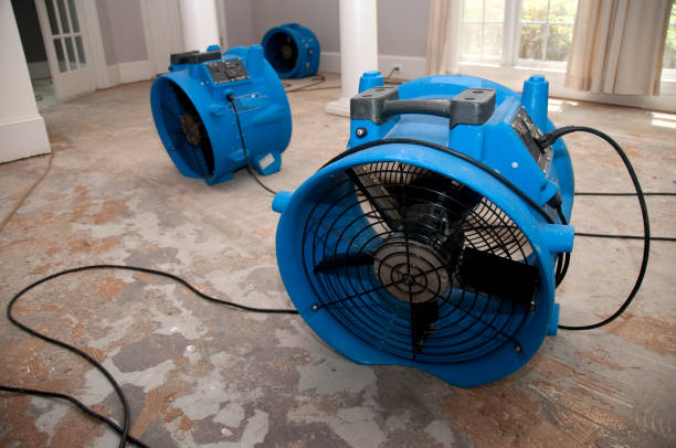 Trusted Water Restoration Services in Thurston County, WA