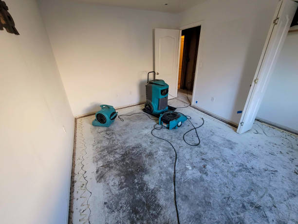 Best Water Restoration Services in Thurston County, WA 