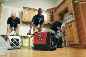 Trusted Water Mitigation Services in Pierce County WA