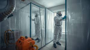 Best Mold Remediation Services in Lewis County WA