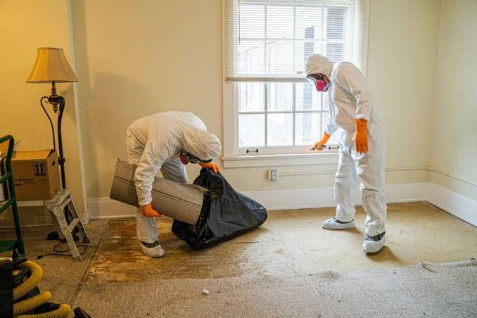 Emergency Water Damage Restoration in Rainier, WA